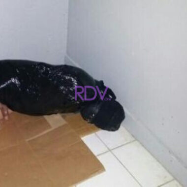 5e83457d9e1b4 1 380x380